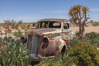 Car rack and quiver tree at Canyon Roadhouse, Namibia, Africa