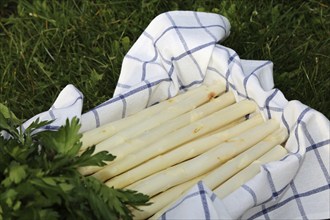 White asparagus decorated in a wooden crate