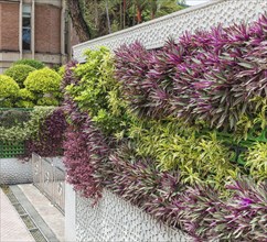 Beautiful vertical garden in the center of Kuala Lumpur, Malaysia, Asia