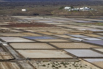 Sea salt extraction, Janubio salt works, Salinas de Janubio, Lanzarote, Canary Islands, Spain,