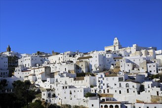 Pueblo blanco historic village whitewashed houses on hillside, Vejer de la Frontera, Cadiz