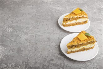 Homemade cake with persimmon and pumpkin on a gray concrete background. side view, close up, copy