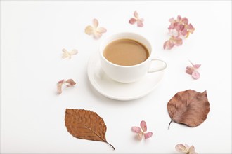 Composition with brown beech autumn leaves, hydrangea flowers and cup of coffee. mockup on white