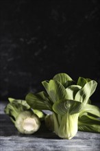 Fresh green bok choy or pac choi chinese cabbage on a gray wooden background. Hard light, contrast,