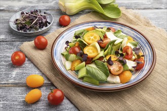 Vegetarian salad of pac choi cabbage, kiwi, tomatoes, kumquat, microgreen sprouts on gray wooden