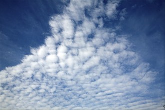 Cirro Cumulus clouds often called mackerel sky