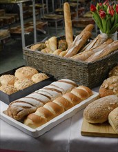 Food, baked goods, many different pastries and bread, AI generated, AI generated