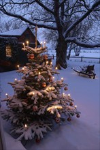 Europe, Germany, Christmas tree with candles and baubles in a snowy front garden, Hamburg, Hamburg,