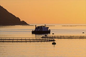 Salmon farm in fjord Mefjord, sunset over sea and mountain range, salmon, Senja, Troms, Norway,