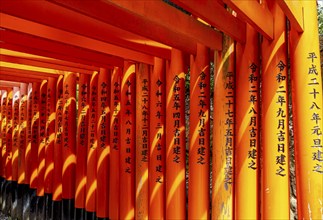 Torii gates, Fushimi Inari-Taisha shrine, Kyoto, Japan, Asia