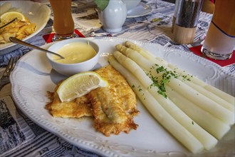 Limandes fillet fried with asparagus and hollandaise sauce in the fish restaurant Wremer