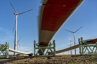 Wind farm near Bad Wünnenberg, construction site, toothing on the rotor blades, so-called