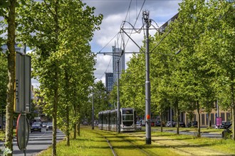 Urban greening, inner-city street Laan op Zuid, in Rotterdam's Feijenoord district, 4 lanes, 2 tram