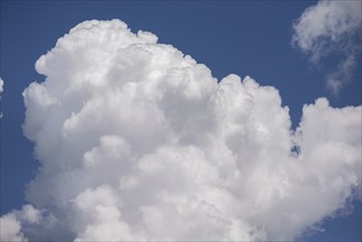 Cumulus cloud (Cumulus), Bavaria, Germany, Europe