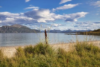 Small sandy beach on the island of Giloy, Vesterålen, Norway, Europe