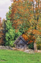 Old wooden shed by a stone wall and beautiful autumn colours on the trees by a grass meadow in the