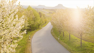 Spring in Saxon Switzerland, Altendorf, Saxony, Germany, Europe