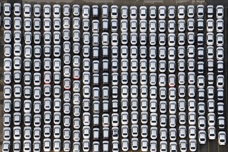 Aerial view, motor vehicle, car, passenger car, new car, transport, trade, export, row, university