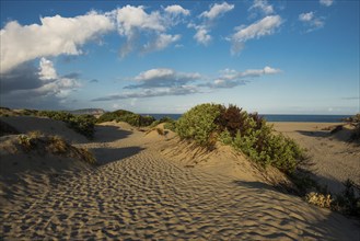 Icy beach and dunes, sunrise, Spiaggia La Liccia, near Rena Majore, Sardinia, Italy, Europe