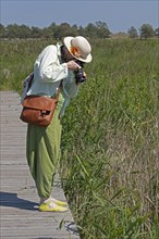 Woman photographed, wooden footbridge, reed grass, circular hiking trail, Darßer Ort, Born a. Darß,