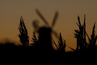 Windmill silhouette at sunset with a red sky and reeds in the foreground, Cley-next-to-the-sea,