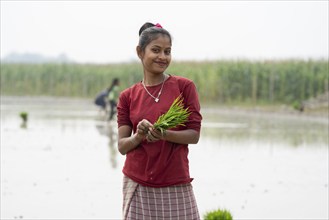 Morigaon, India. 20 February 2024. A women pose for photograph holding rice sapling, as she plant