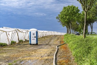 Agriculture, large areas with foil tunnel, for the cultivation of strawberries, south of Lövenich,