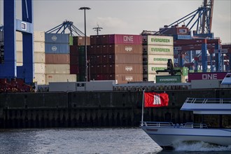 Excursion boat, harbour tour, on the Elbe, in front of the Burchardkai Container Terminal, Hamburg,