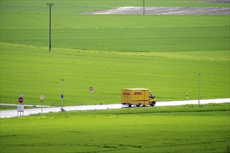 B519 country road near Flörsheim, DHL parcel service van, Hesse, Germany, Europe