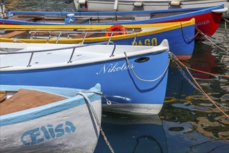 Colourful fishing boats, Malcesine, Lake Garda, Province of Verona, Italy, Europe