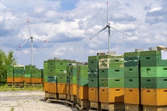 Wind farm north of Marsberg, many beehives at the foot of a wind turbine, Hochsauerlandkreis, North