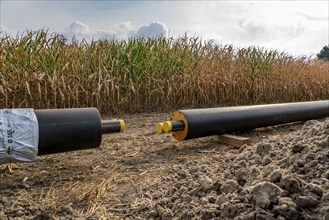 Laying of district heating pipes, next to a field, with maize, the district heating comes from a