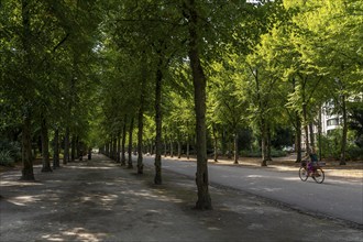 The Jägerhofallee in the Hofgarten, the central municipal park in Düsseldorf, North