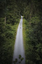 A child on a balance bike rides along a hiking trail through the Höllental valley between Thuringia