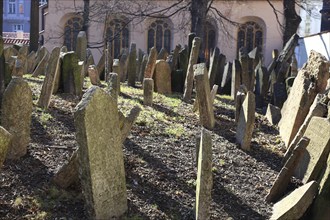 The Old Jewish Cemetery in the Josefov district is one of the most historically significant Jewish