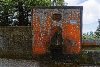 An old stone fountain with moss and algae growth and a weathered historical inscription, crater