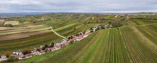 Aerial view, autumn landscape with vineyards, cellar lane, Alberndorf, Pulkautal, Weinviertel,