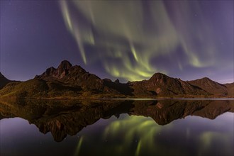 Northern Lights, Aurora borealis, mountains reflected in fjord, autumn, Vesteralen, Norway, Europe