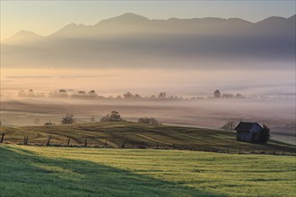 Foggy mood, morning light, hut, manure in a meadow, Murnauer moss, Alpine foothills, Bavaria,