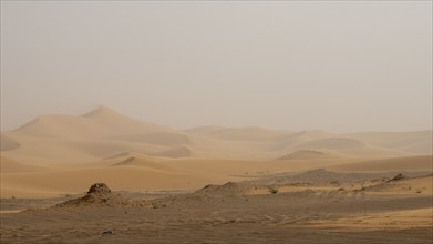 Sandstorm in the desert, dunes, Erg Chebbi, Sahara, Merzouga, Morocco, Africa