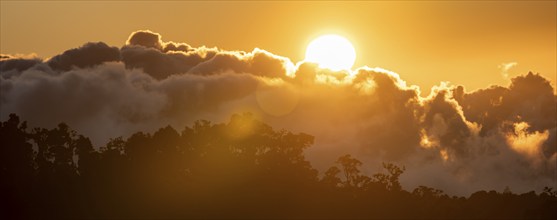 Evening mood, clouds over cloud forest, mountain rainforest, Parque Nacional Los Quetzales, Costa