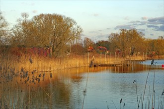 A river with reeds on the banks, surrounded by trees and calm water areas, Lake Gartow, Gartow,