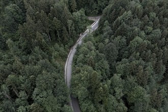 Dark mixed forest from above, with road, drone shot, Upper Bavaria, Bavaria, Germany, Europe