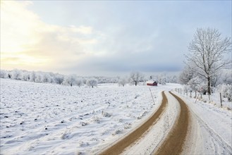 Gravel road with snow in a rural landscape on a cold winter day with a red barn in a field, Sweden,