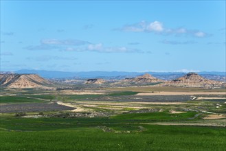 Vast landscape with rolling hills and green fields under a clear blue sky, Bardenas Reales Natural