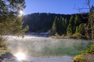 Morning fog over the water, Walchensee, Upper Bavaria, Bavaria, Germany, Europe