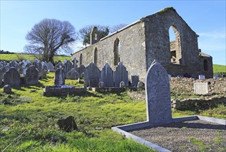 Seventeenth century Kilcredan church ruins and graveyard, County Cork, Ireland, Europe