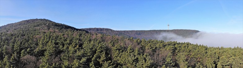 Panorama of the Palatinate Forest