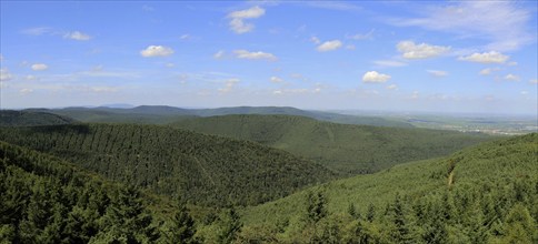 Panorama of the Palatinate Forest