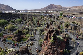 Cactus garden, Jardin de Cactus, designed by the artist César Manrique, Lanzarote, Canary Islands,